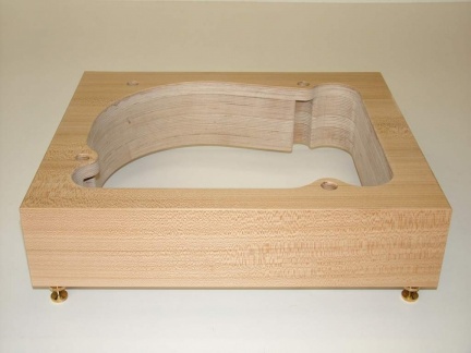 TD124 Rüster-Ulme-gestreift 02